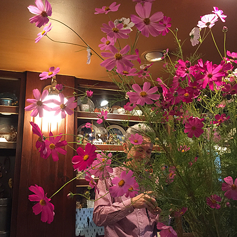 ����ف@�M�B���ܔT