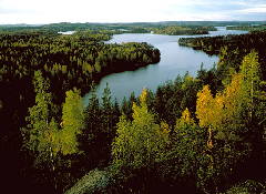 �t�B�������h�̐X�ƌ�