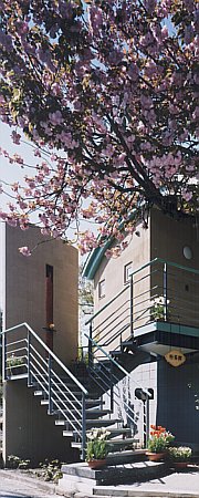 ���񂰂�����