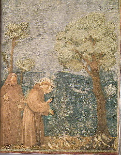 �����ƌ��A�b�V�W�̐��t�����V�X